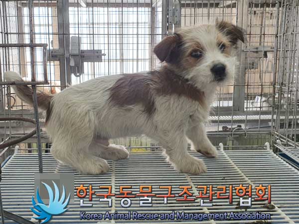 한국동물구조관리협회_441560202300217