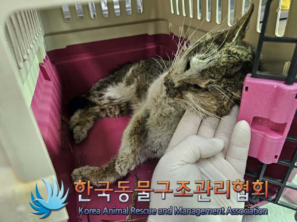 한국동물구조관리협회_411300202300053