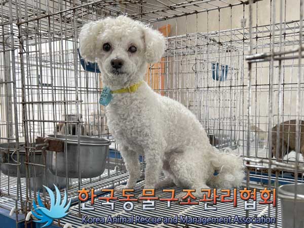 한국동물구조관리협회_441382202300077