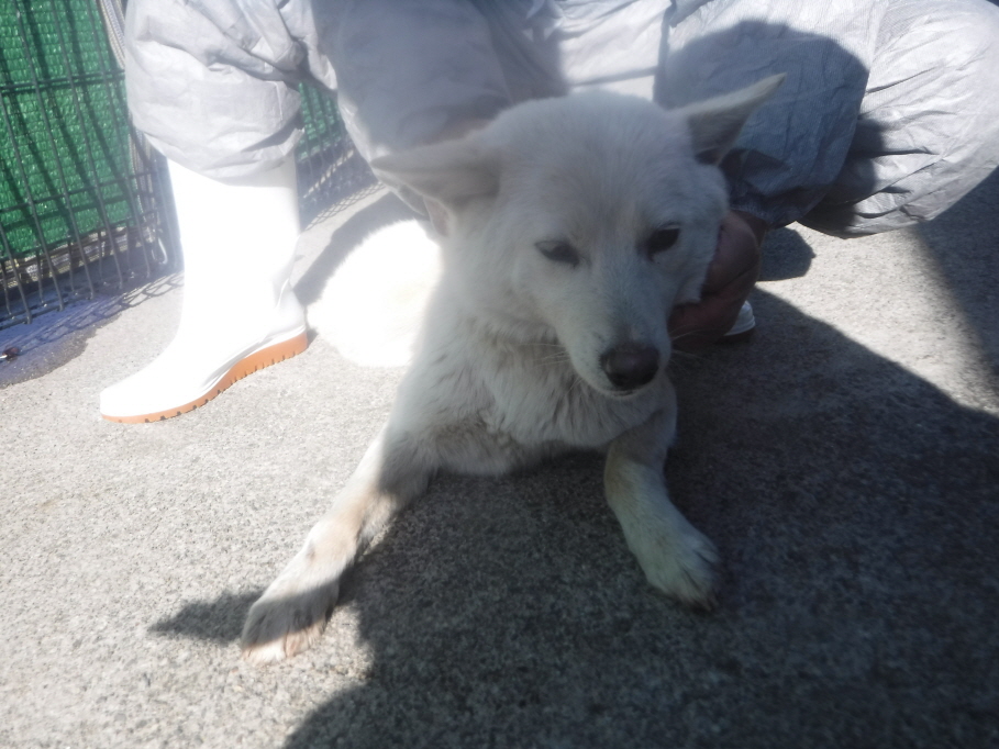 제주 동물보호센터_450650202300759