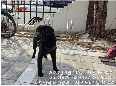 대전동물보호센터_430366202300062