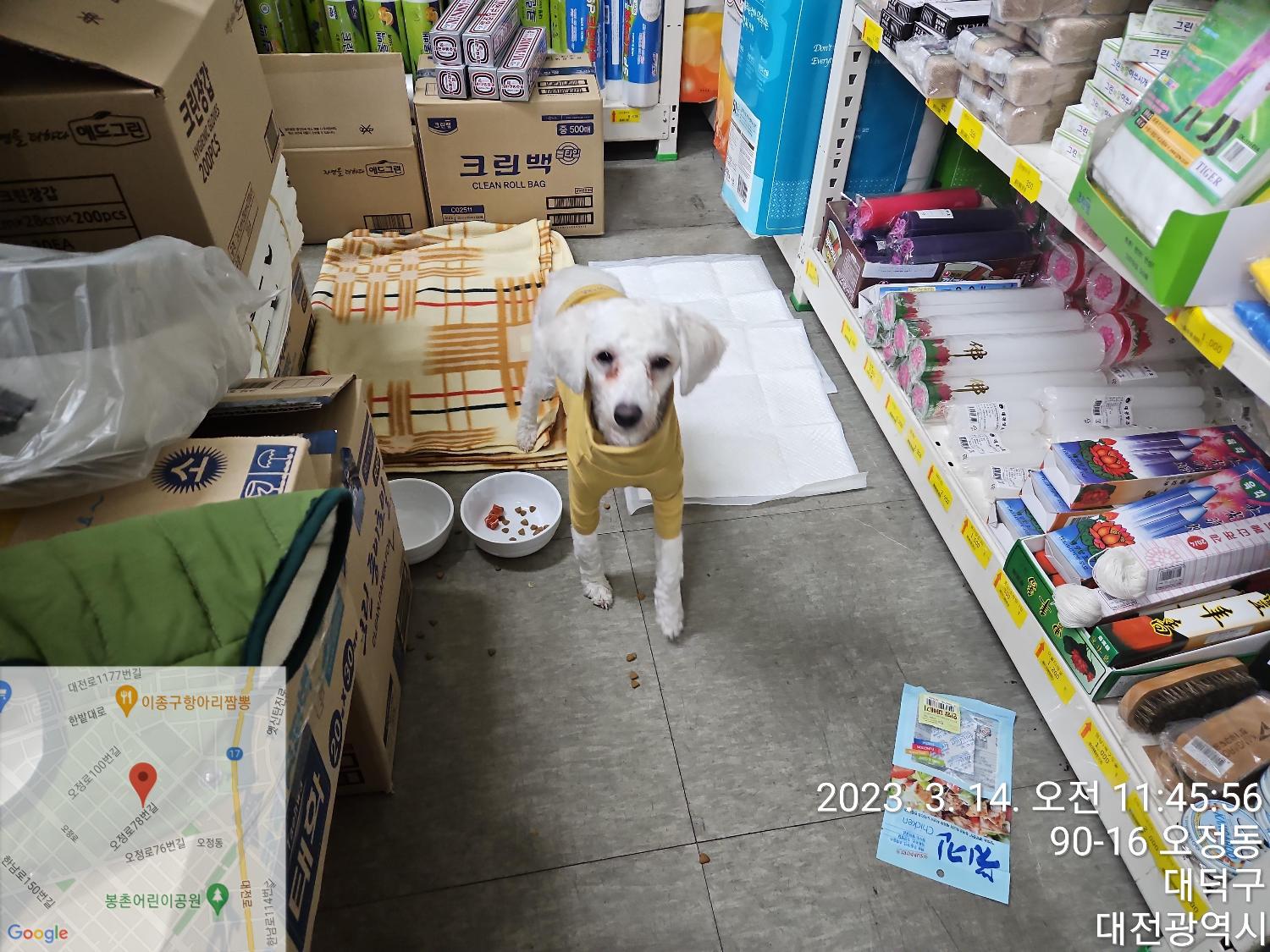 대전동물보호센터_430368202300035