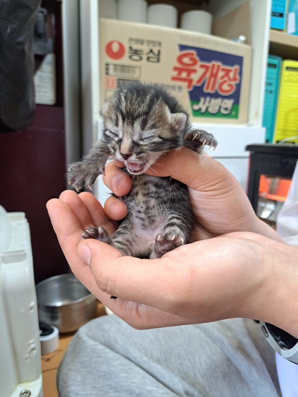 울산유기동물보호센터_431373202300183