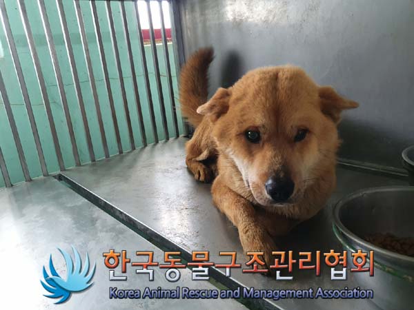 한국동물구조관리협회_441414202300109