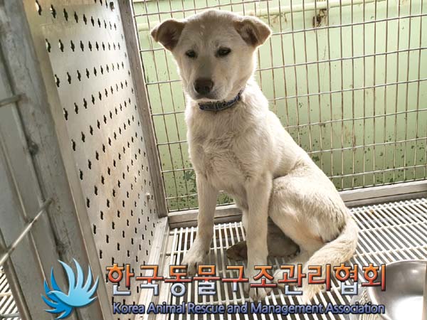 한국동물구조관리협회_441414202300105