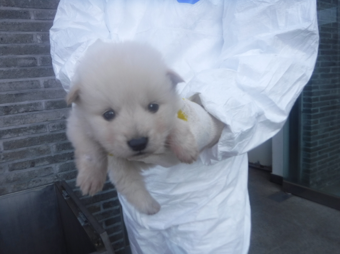 제주 동물보호센터_450650202300788