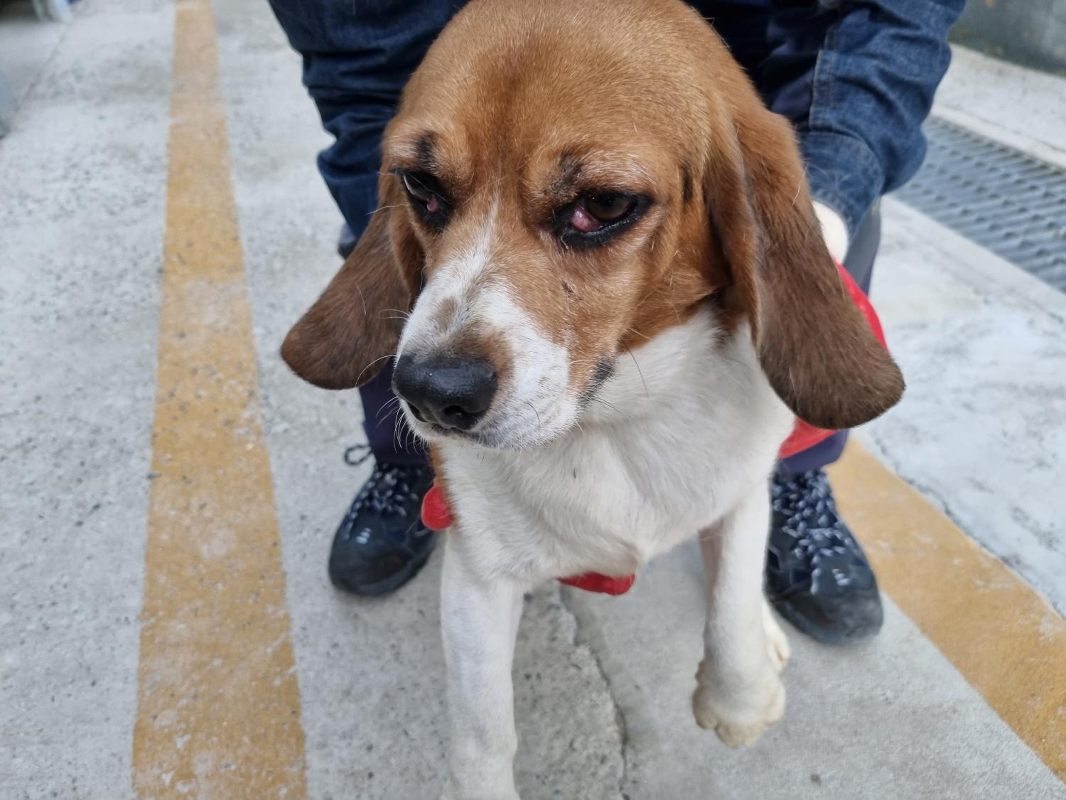 양산시 동물보호센터_448538202300083