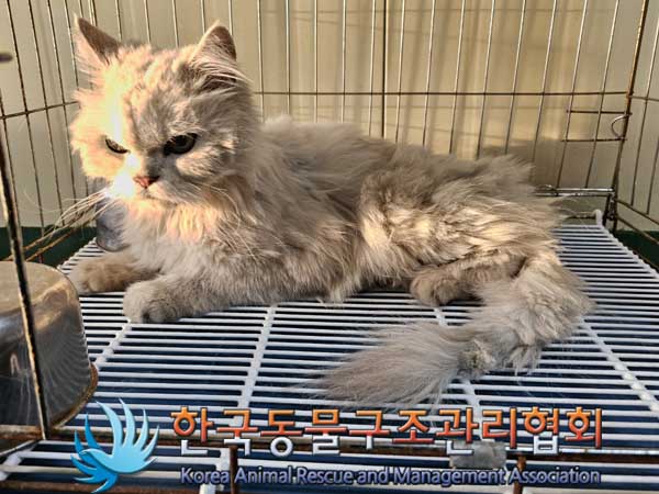 한국동물구조관리협회_411316202300088