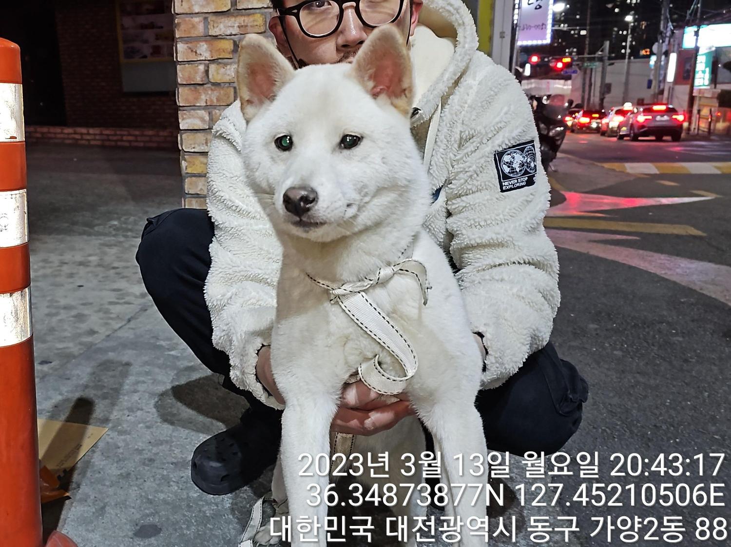 대전동물보호센터_430364202300081