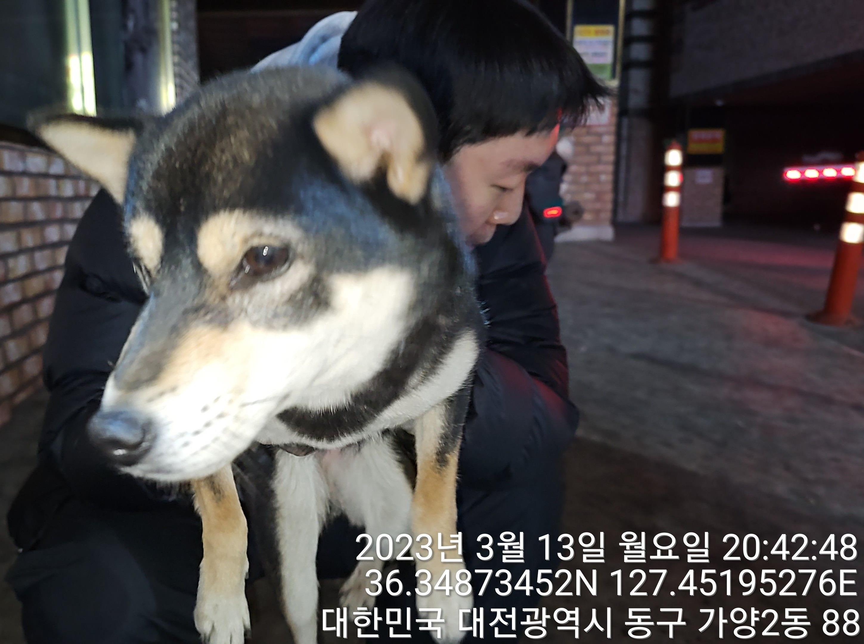 대전동물보호센터_430364202300080