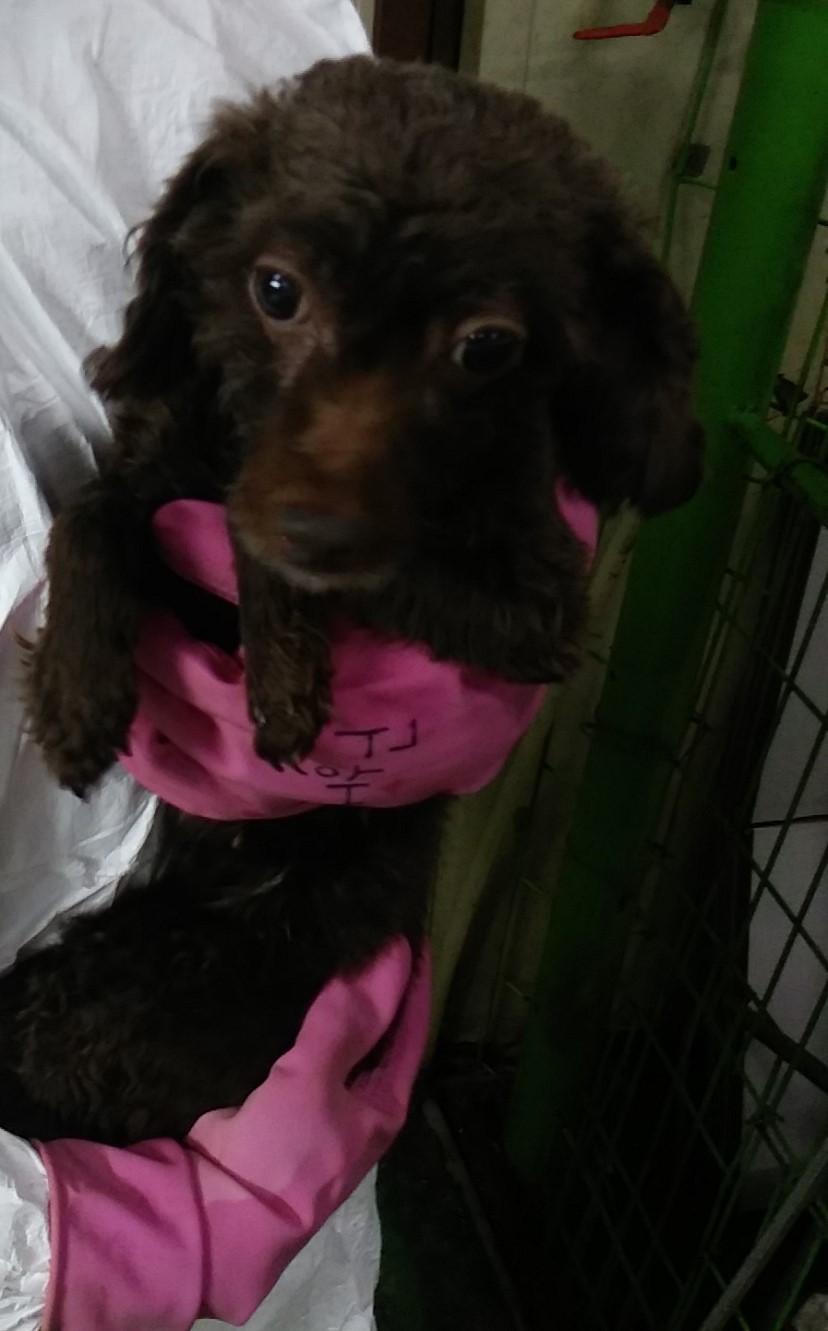 인천광역시수의사회_428351202300081