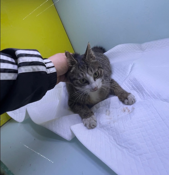 부산동물보호센터_426332202300065