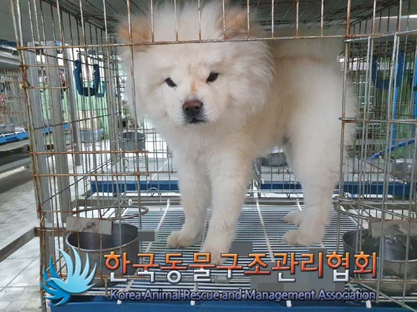 한국동물구조관리협회_441406202300255