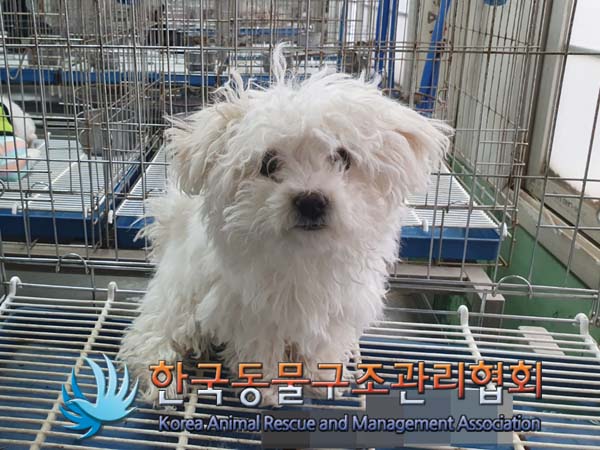 한국동물구조관리협회_441406202300256