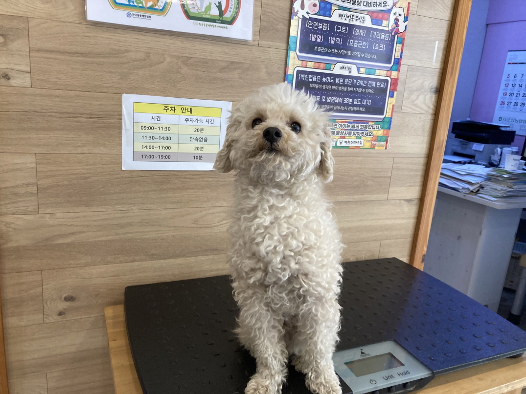 프렌즈동물병원_445464202301057
