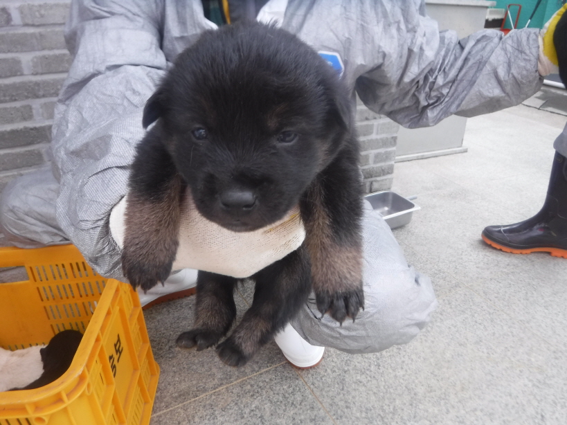 제주 동물보호센터_450650202300798