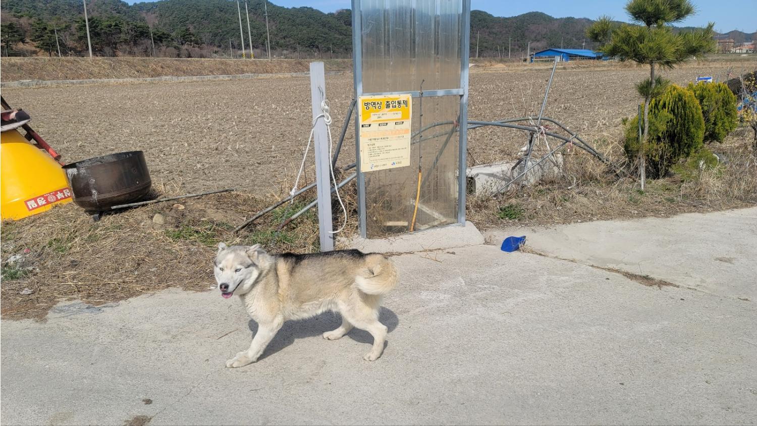 임실유기동물보호센터_445476202300049