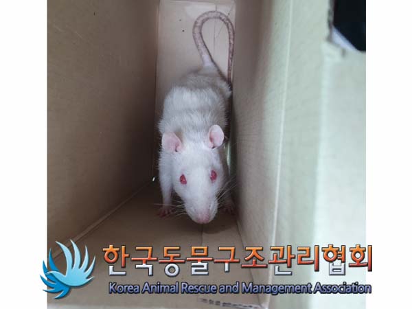한국동물구조관리협회_411311202300087
