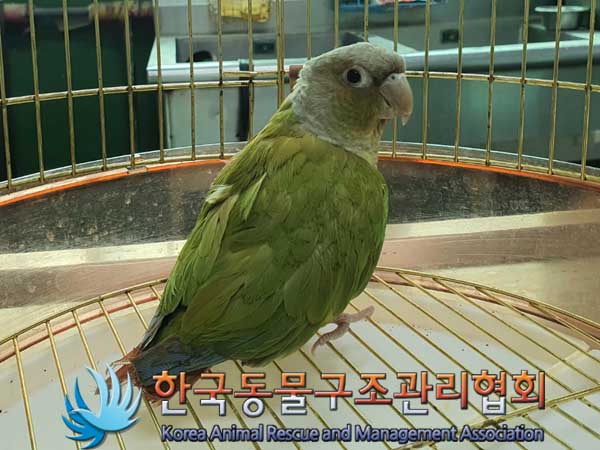 한국동물구조관리협회_441392202300029