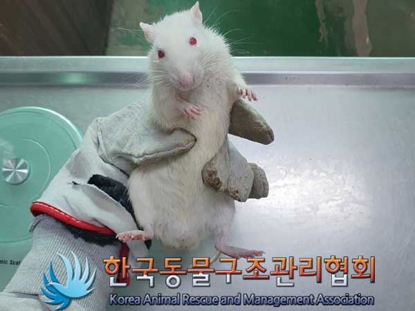 한국동물구조관리협회_411311202300088