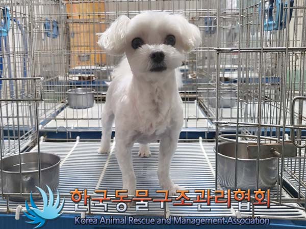 한국동물구조관리협회_411322202300135