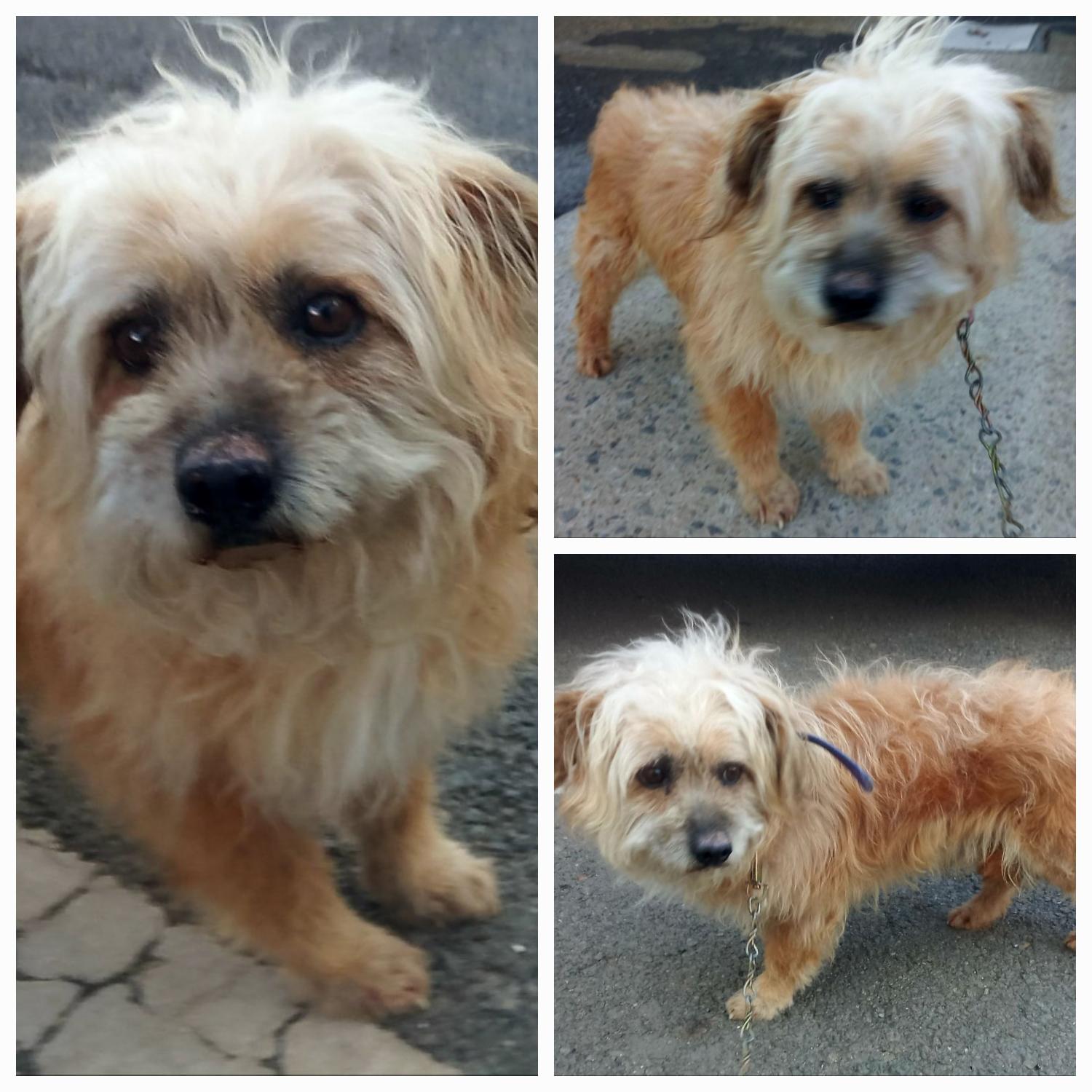 유기동물보호소_446481202300138