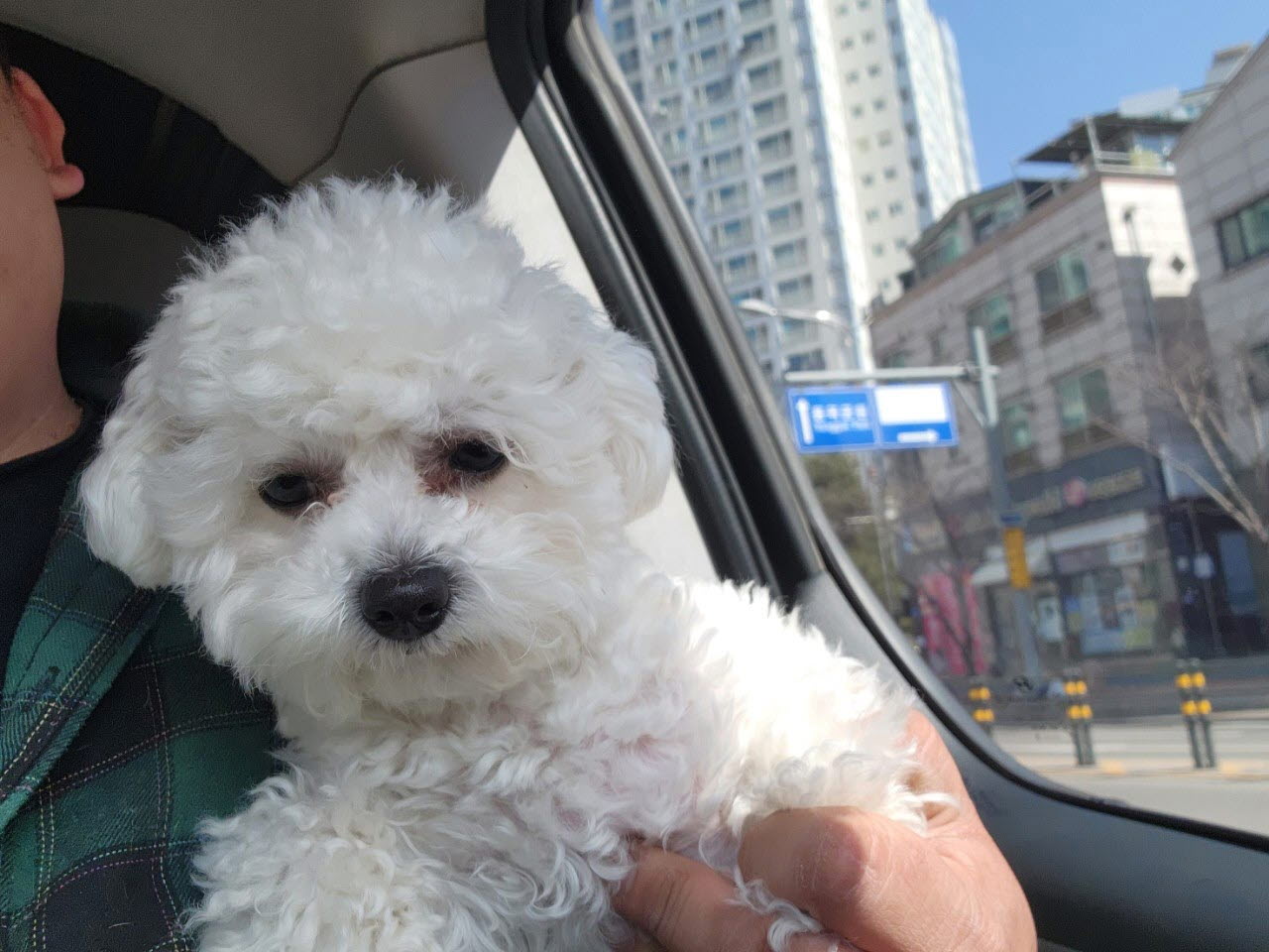 아산동물복지지원센터_444452202300275