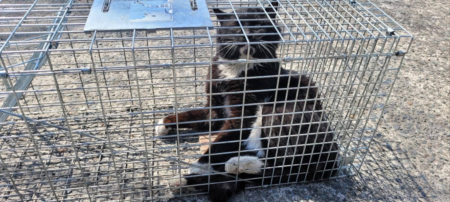 동행동물병원_427348202300078