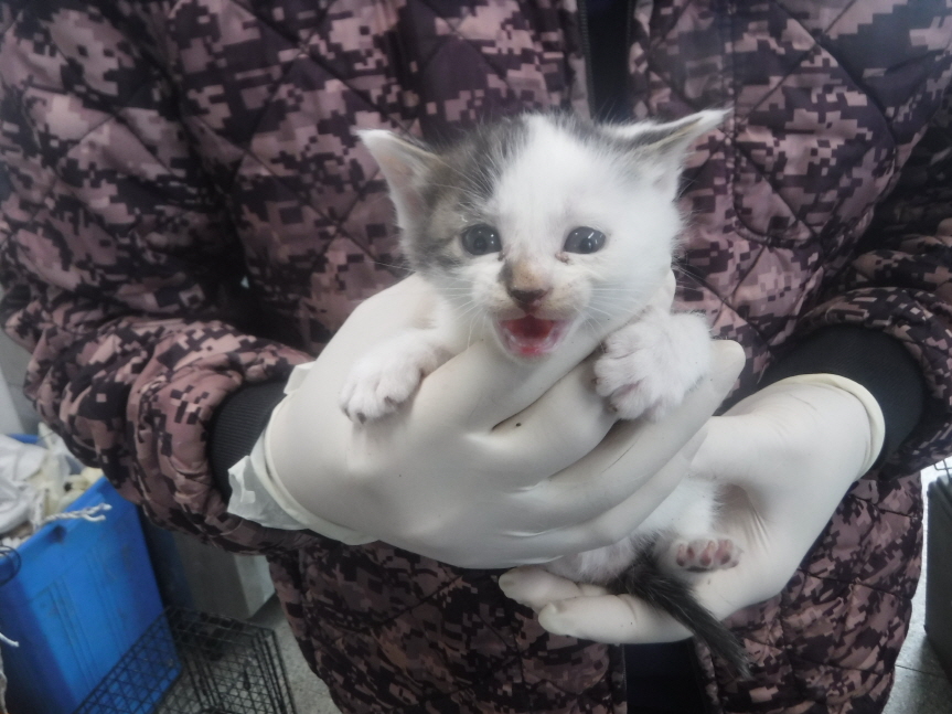 제주 동물보호센터_450650202300836