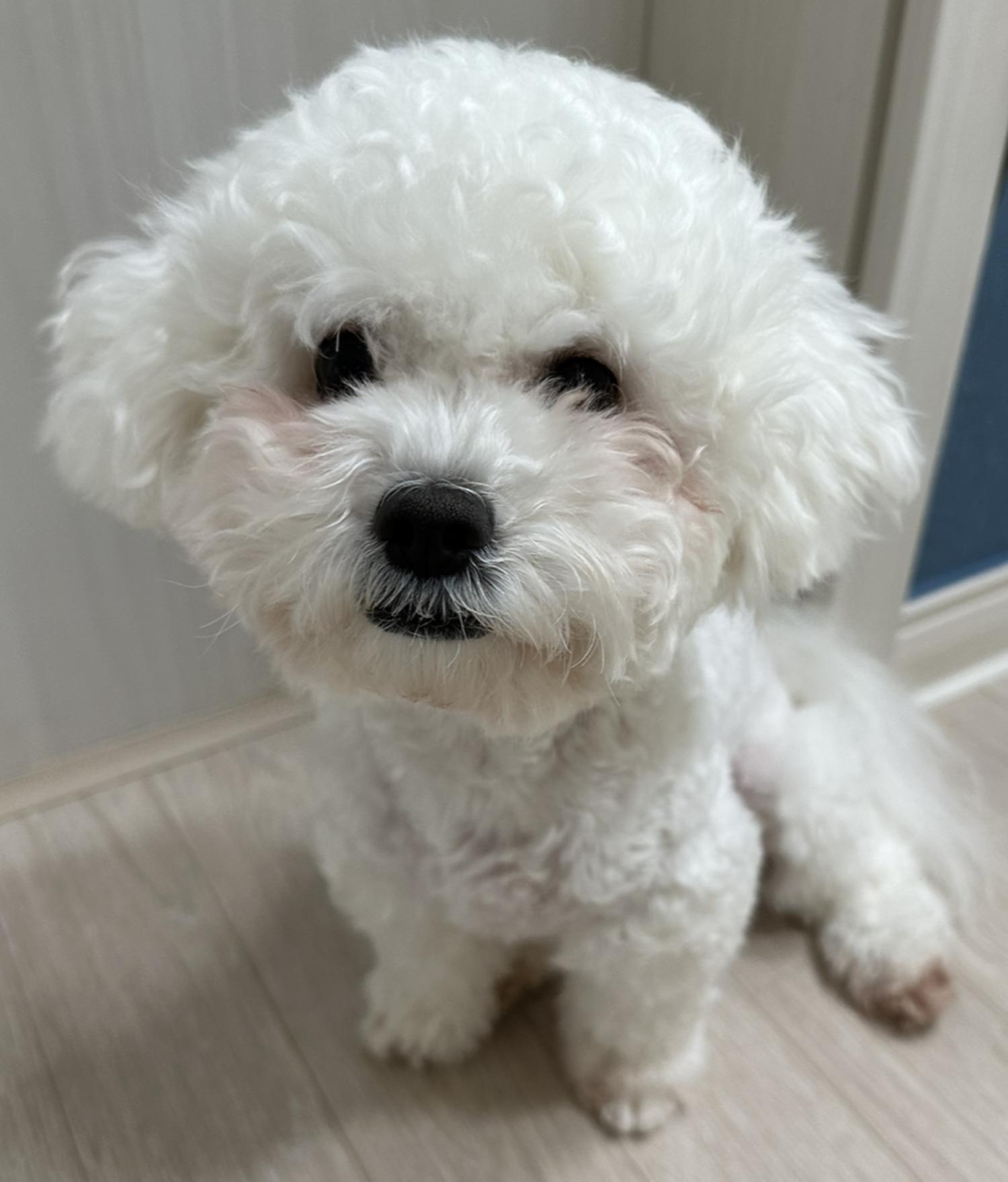 광주 동물보호소_429362202300108