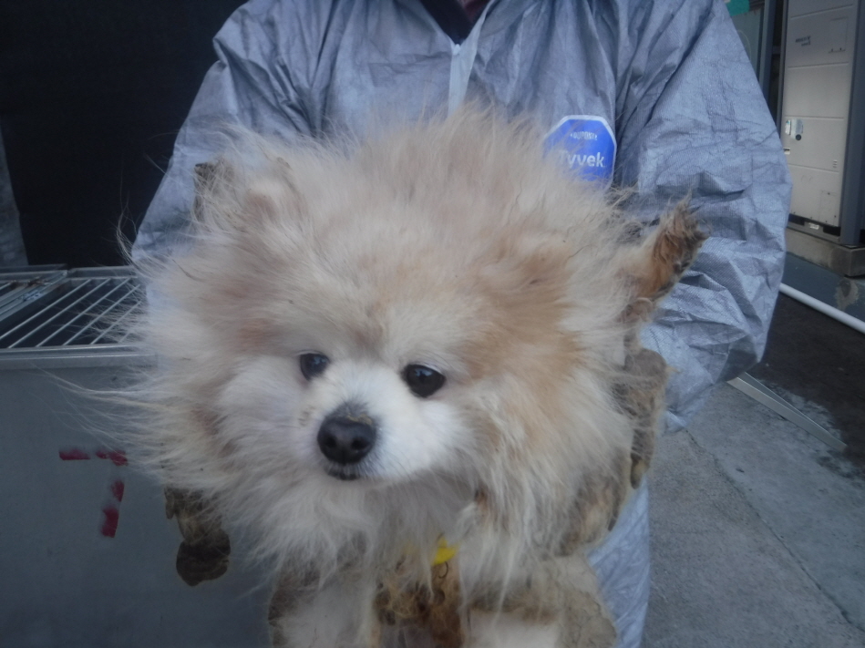 제주 동물보호센터_450650202300825