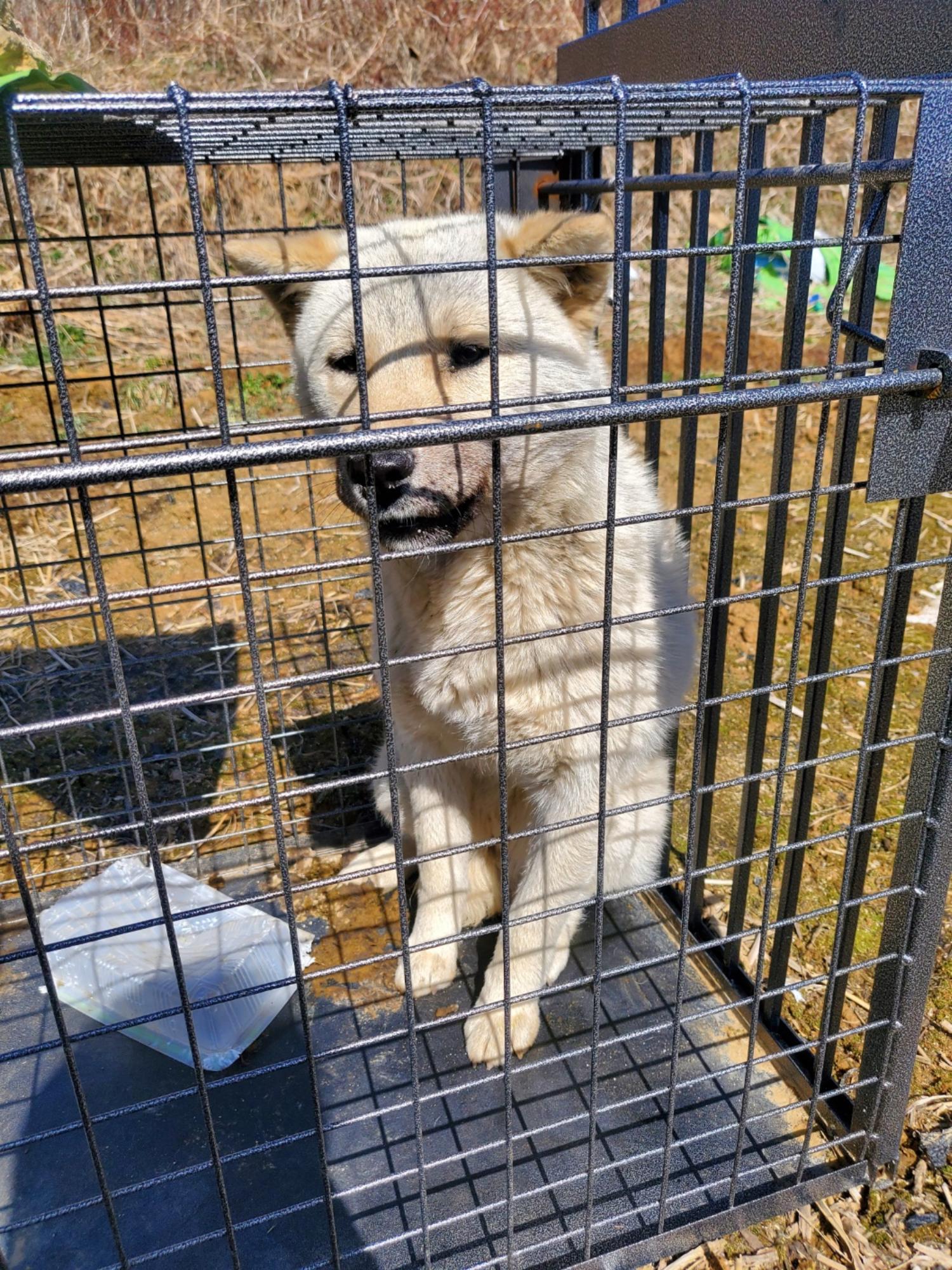 장수군 보호소_445475202300024