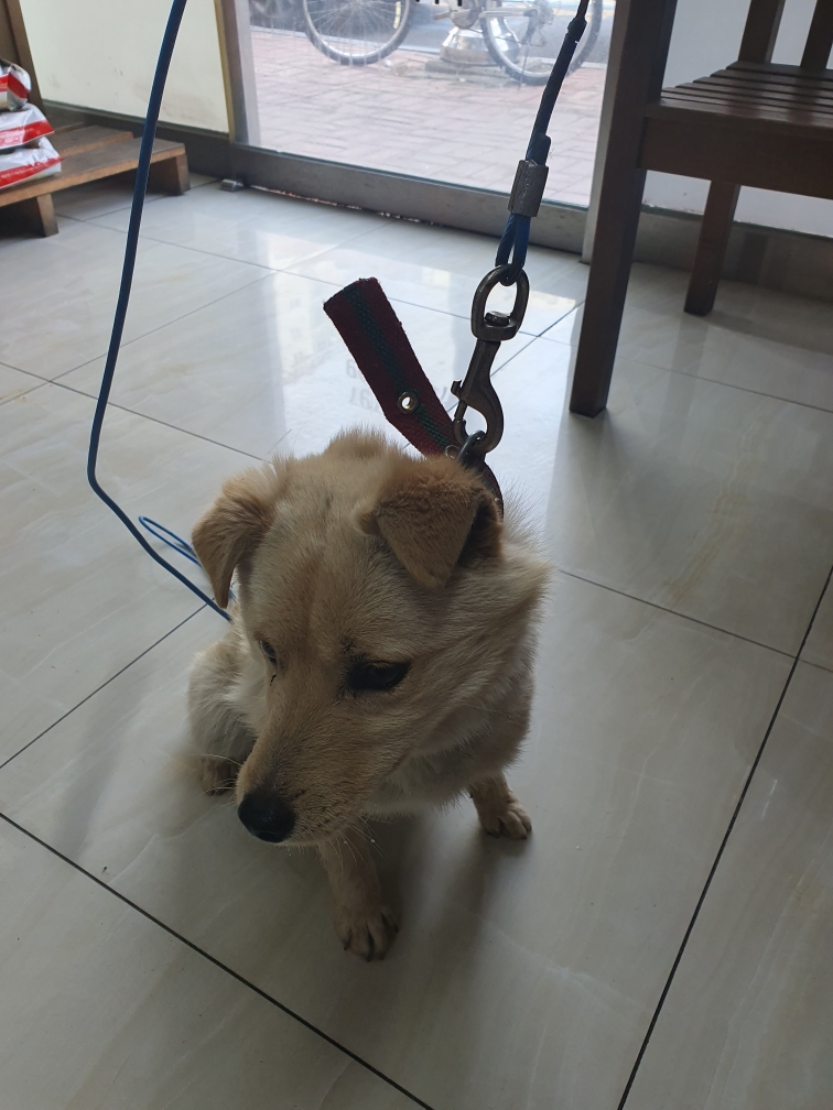 최종주동물병원_443444202300116
