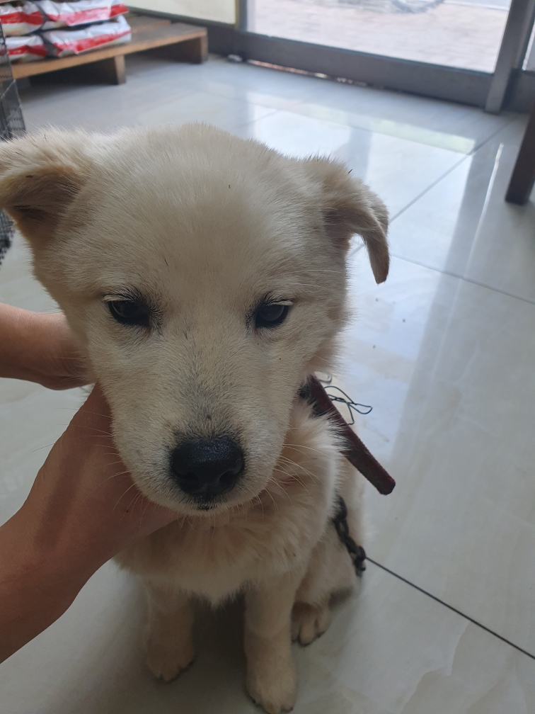 최종주동물병원_443444202300118