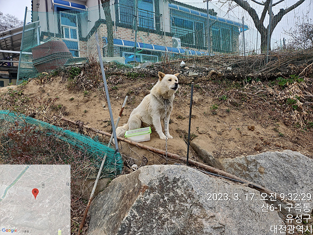 대전동물보호센터_430367202300068