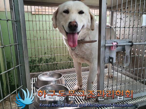 한국동물구조관리협회_441560202300242
