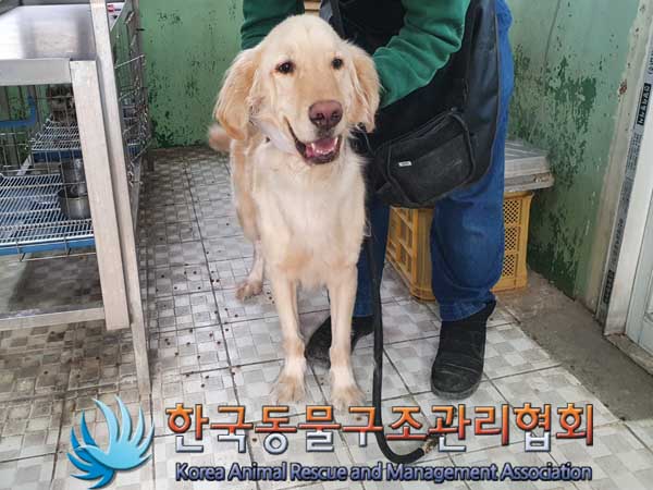 한국동물구조관리협회_411311202300121