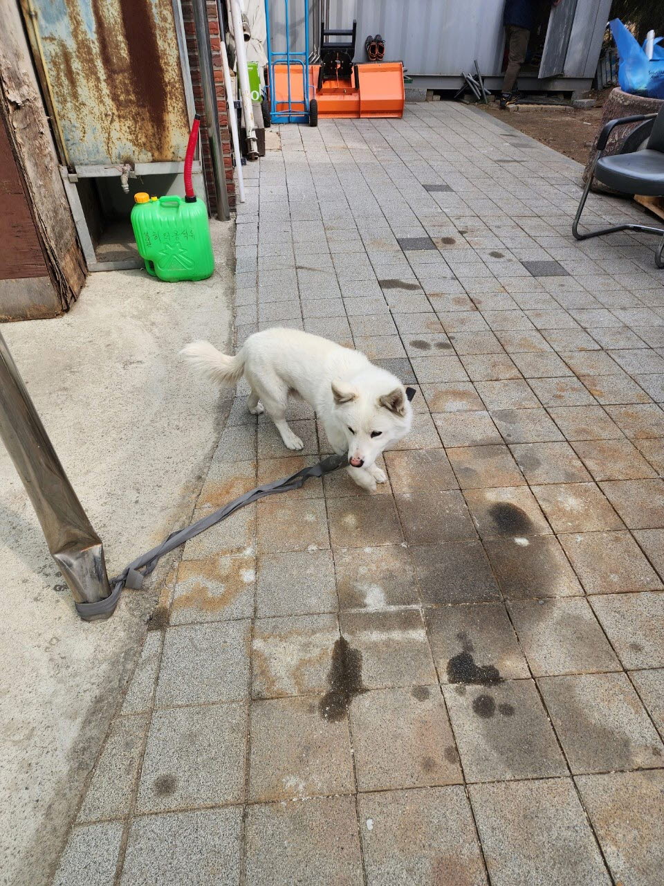 아산동물복지지원센터_444452202300281