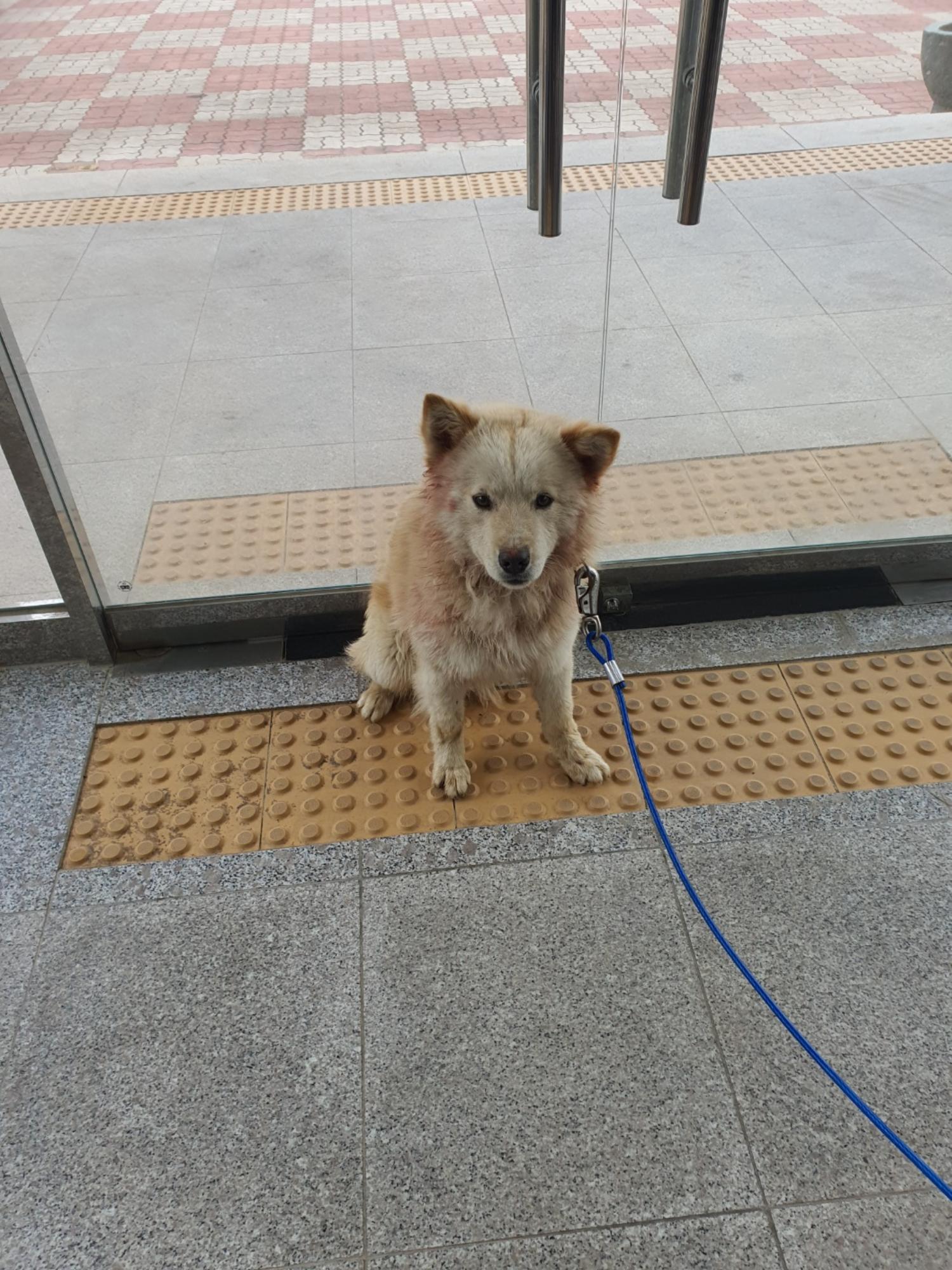 구미시 동물보호센터_447508202300489