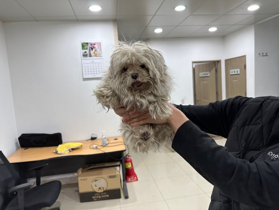 반려동물보호센터_443571202300422
