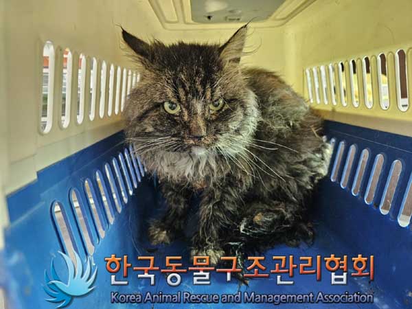 한국동물구조관리협회_441559202300109