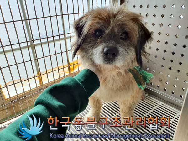 한국동물구조관리협회_441560202300252