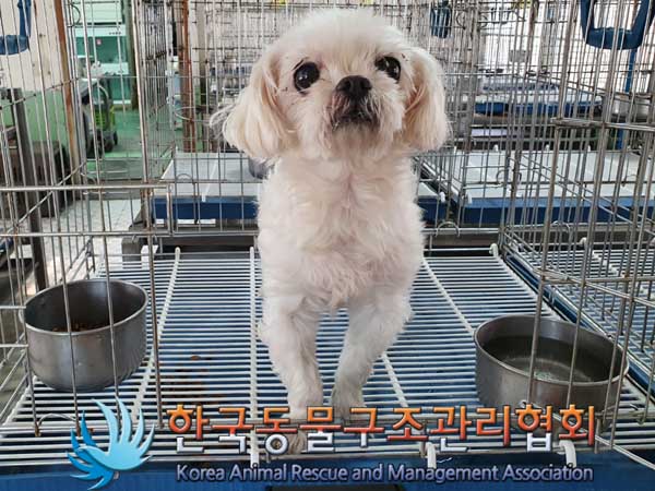 한국동물구조관리협회_411309202300082