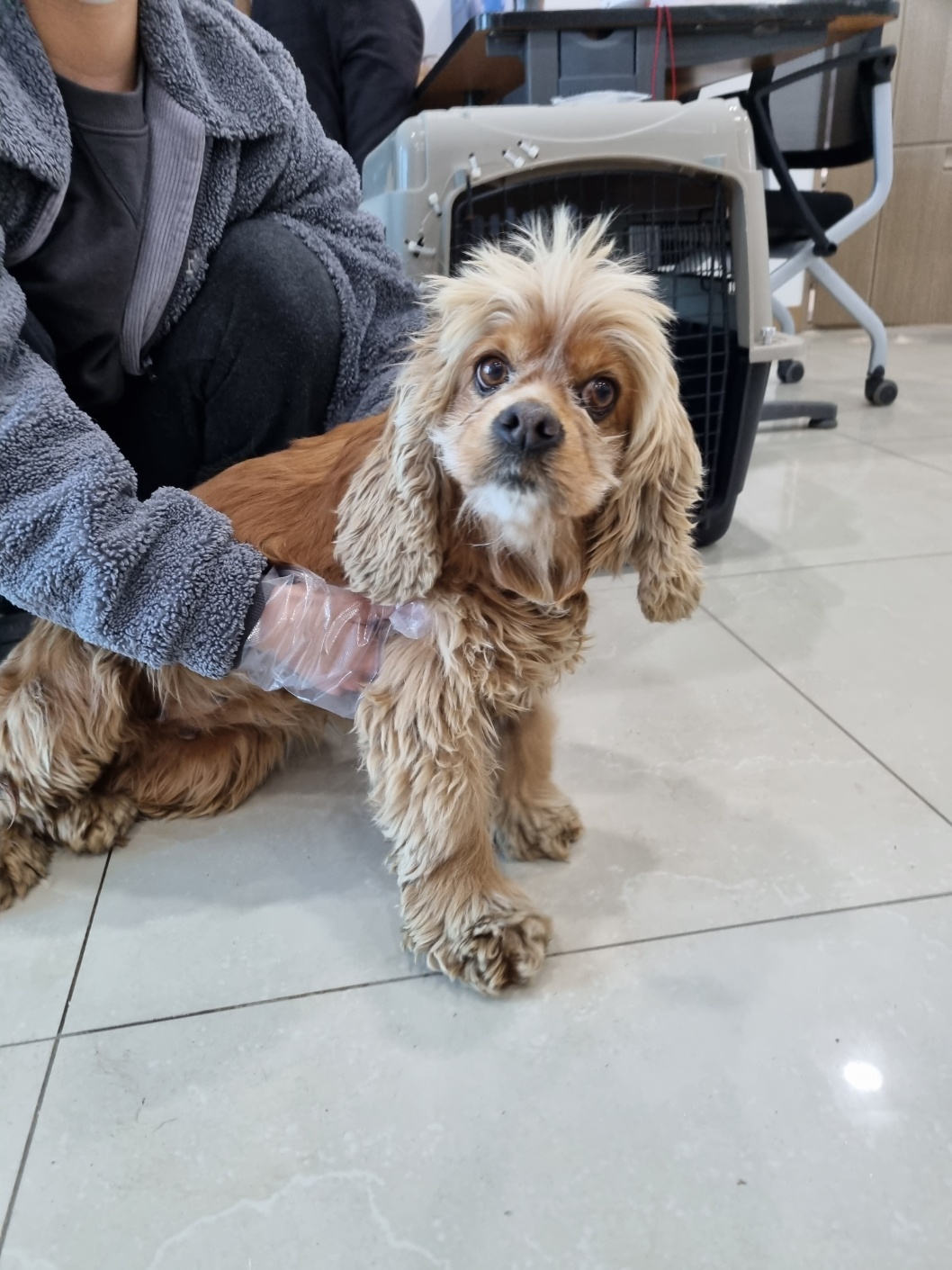 반려동물보호센터_443571202300436
