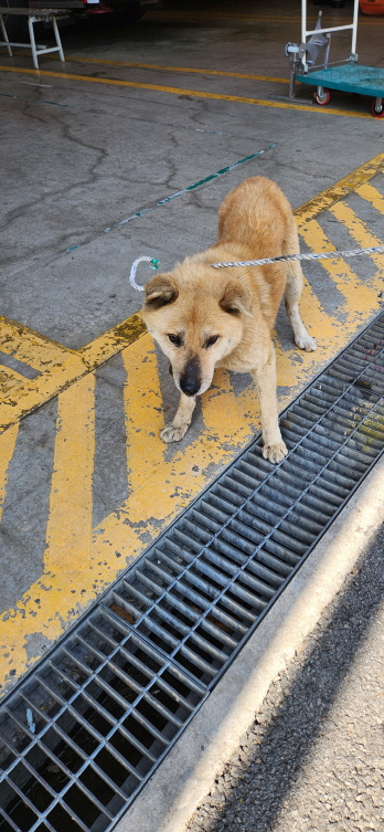 익산유기동물보호소_445468202300314