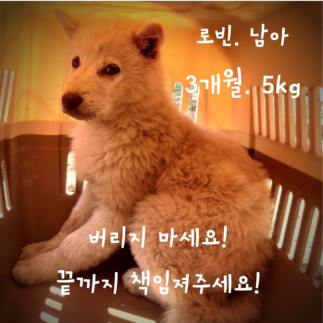 장성군동물보호센터_446498202300092
