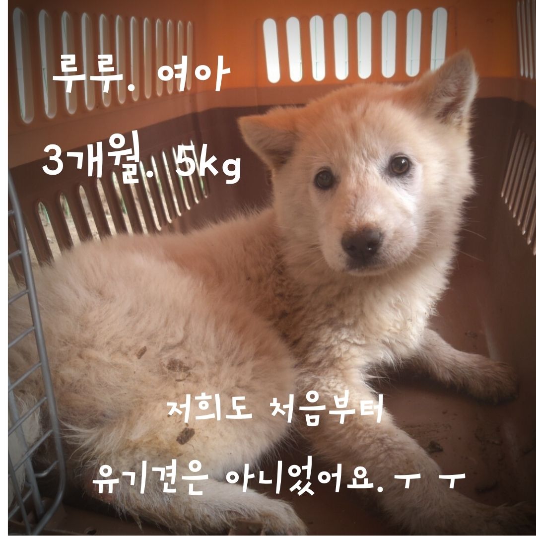 장성군동물보호센터_446498202300090