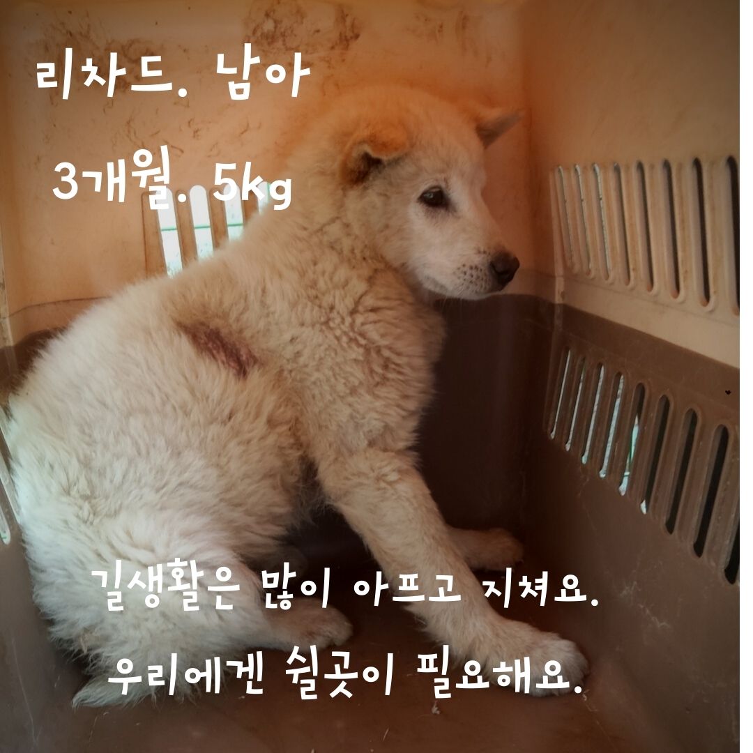 장성군동물보호센터_446498202300091