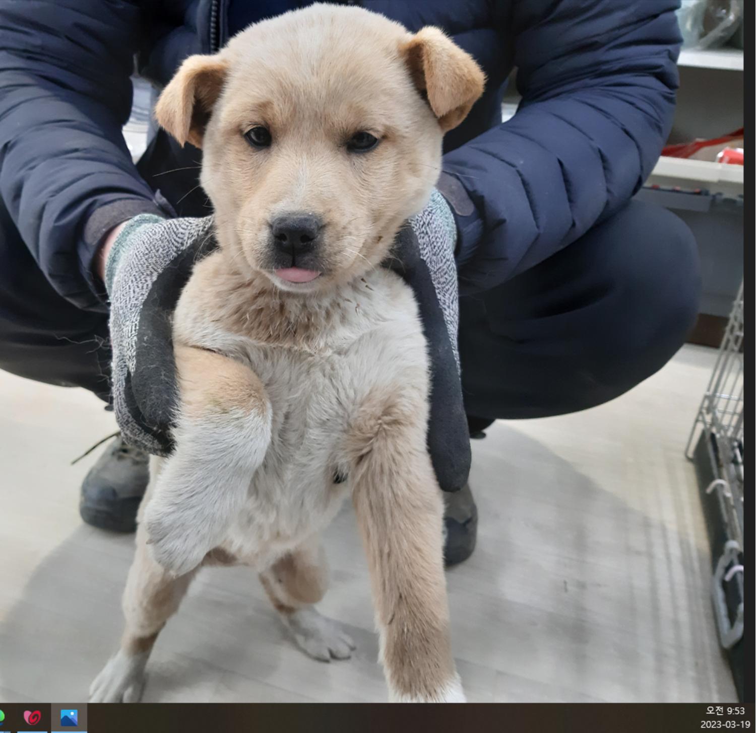하나동물병원_445470202300219