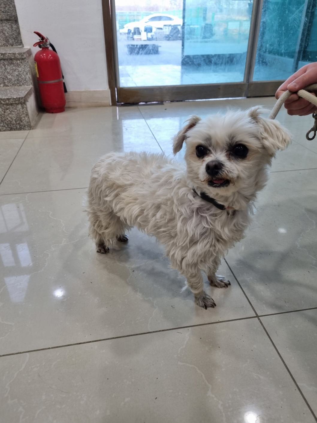 반려동물보호센터_443571202300450